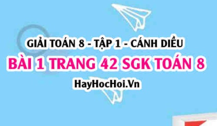 Giải bài 1 trang 42 Toán 8 Tập 1 SGK Cánh Diều